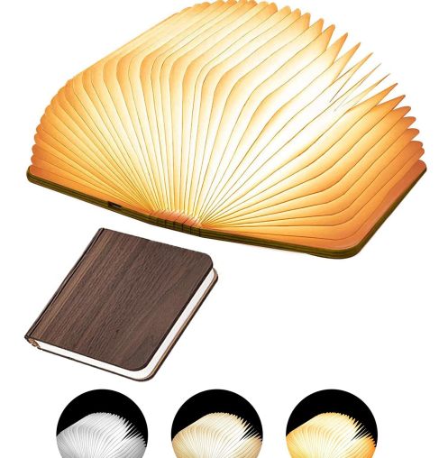 Luminize™ Literary Lamp