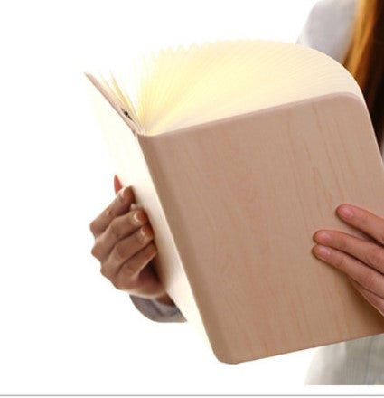 Luminize™ Literary Lamp