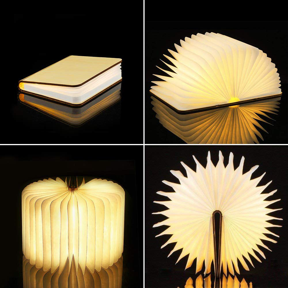 Luminize™ Literary Lamp