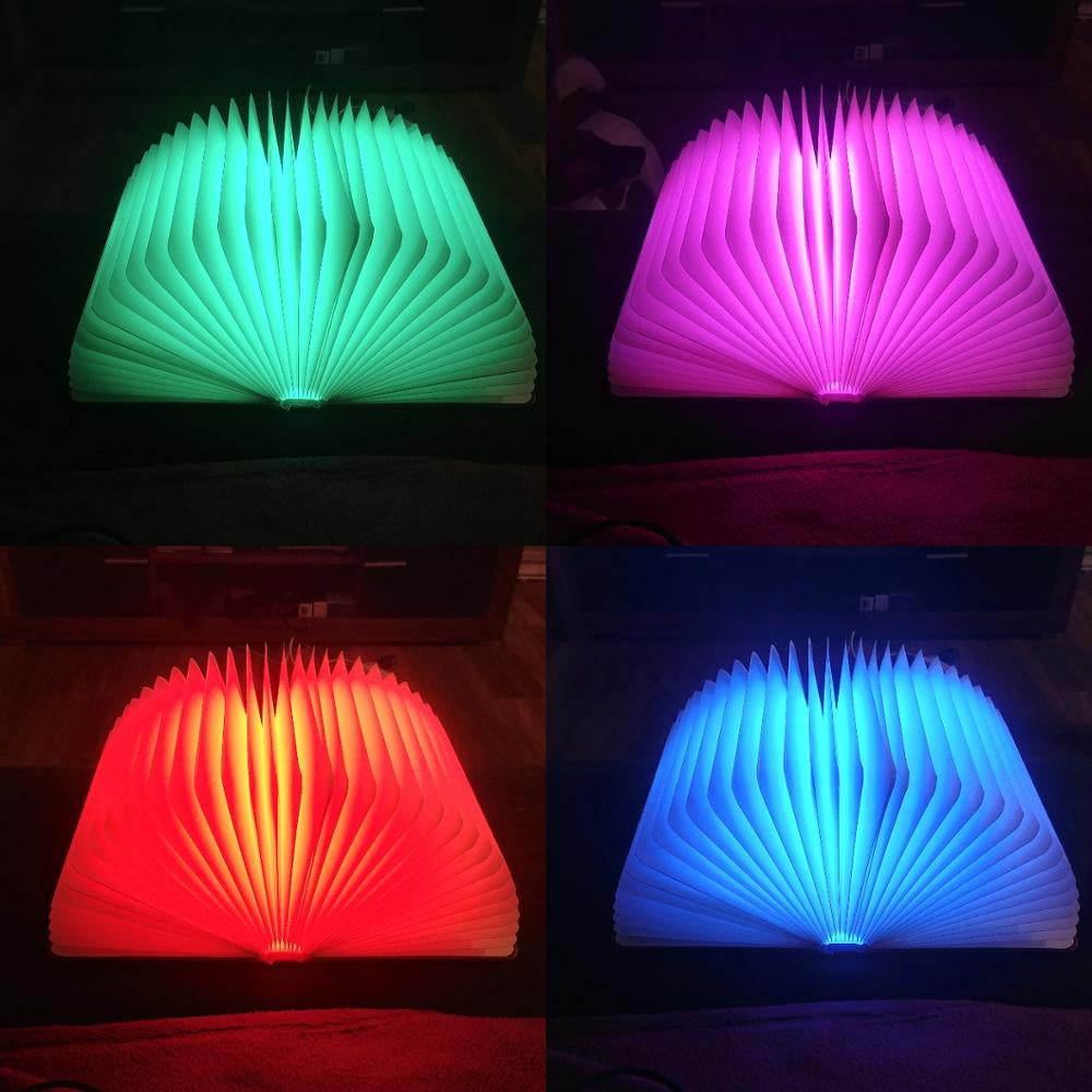 Luminize™ Literary Lamp