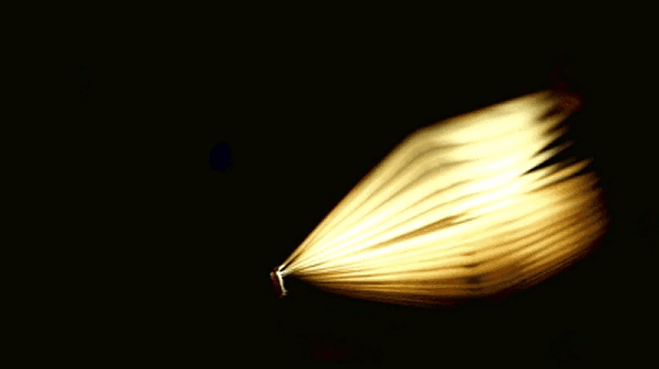 Luminize™ Literary Lamp