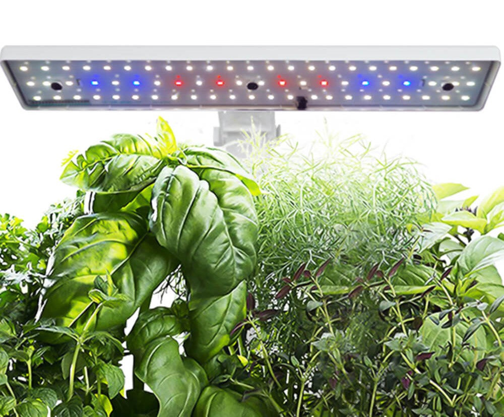Growee™ Indoor Hydroponics System